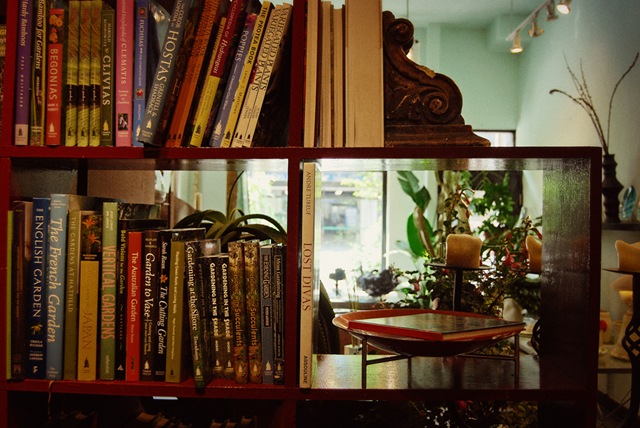 [DSC_0318 copy 2[4].jpg]